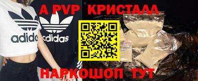 шишки Кингисепп