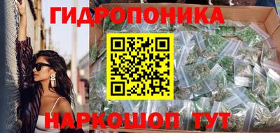 тгк Кимры