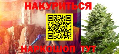 шишки Кингисепп