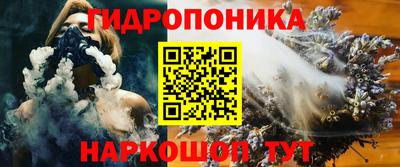 шишки Кингисепп